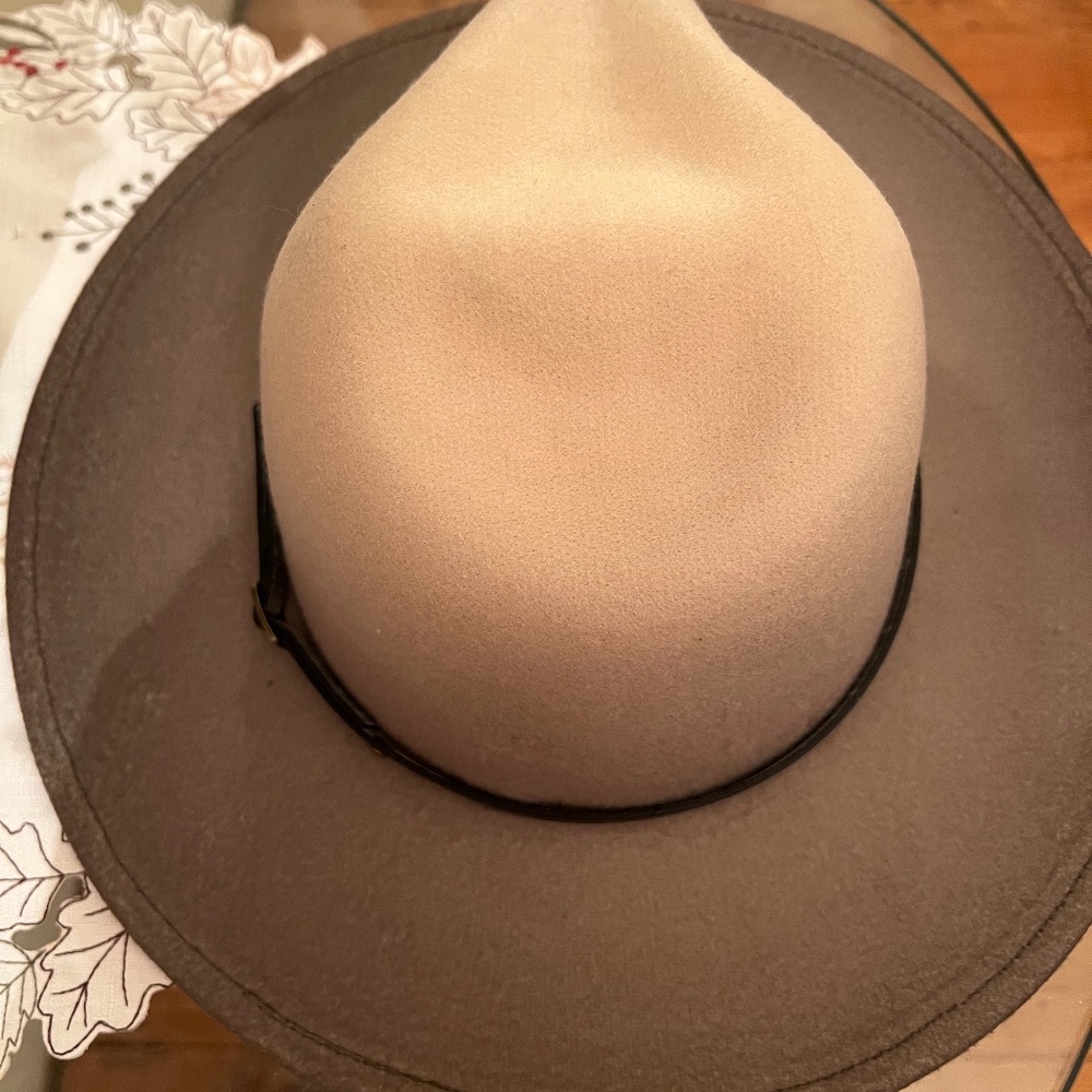 Ombré Fedora by Sassy Jones